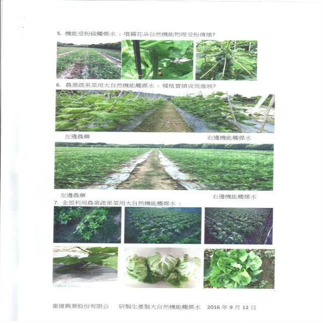 疏果菜 疏果菜