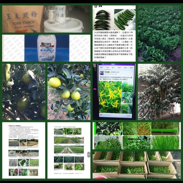大自然機能食用鮮味水-配比應用噴灑(農,魚,牧)種植養殖 大自然機能食用鮮味水-配比應用噴灑(農,魚,牧)種植養殖