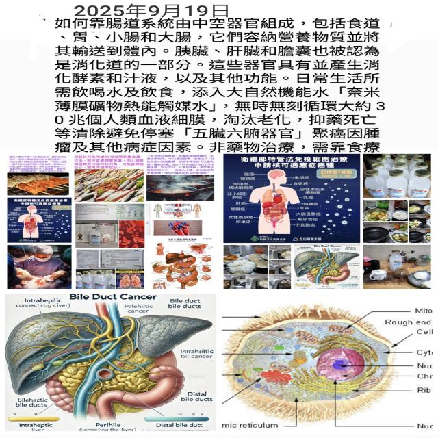 避免停塞「五臟六腑器官」聚癌 避免停塞「五臟六腑器官」聚癌