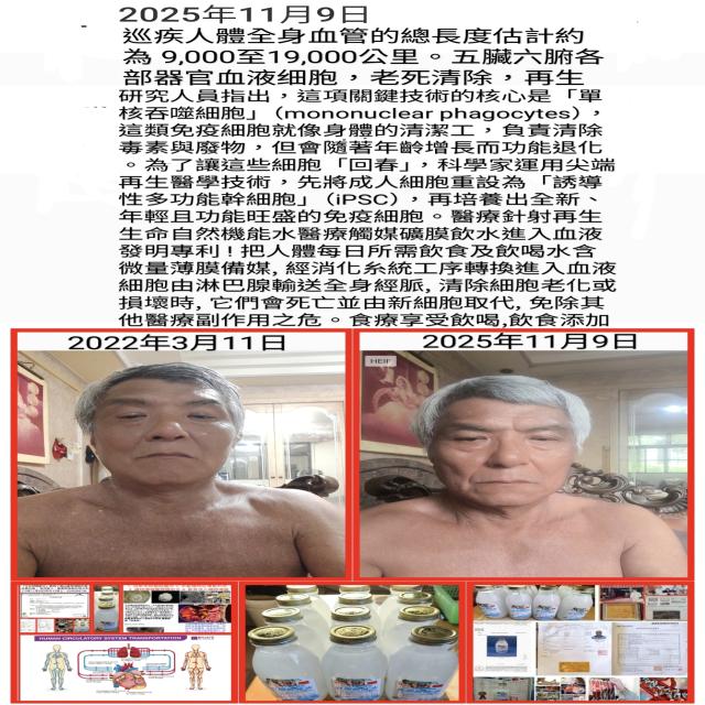 年輕且功能旺盛的免疫細胞