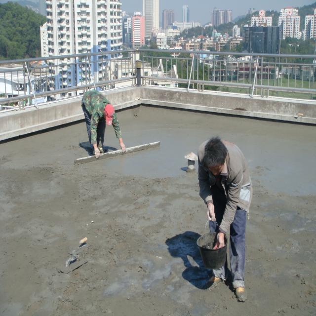 稻殼天然植物但燃燒等於製造碳污染